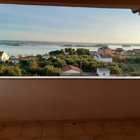 Maslina Kraj (Zadar)
