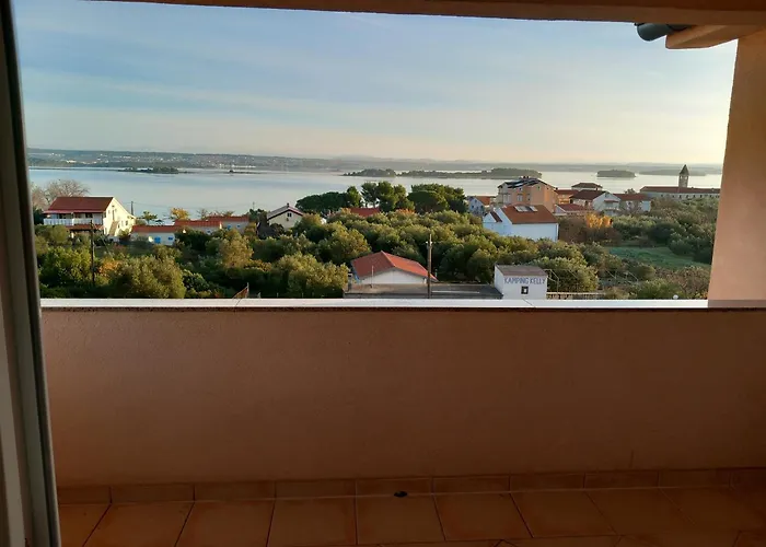 Maslina Kraj (Zadar)