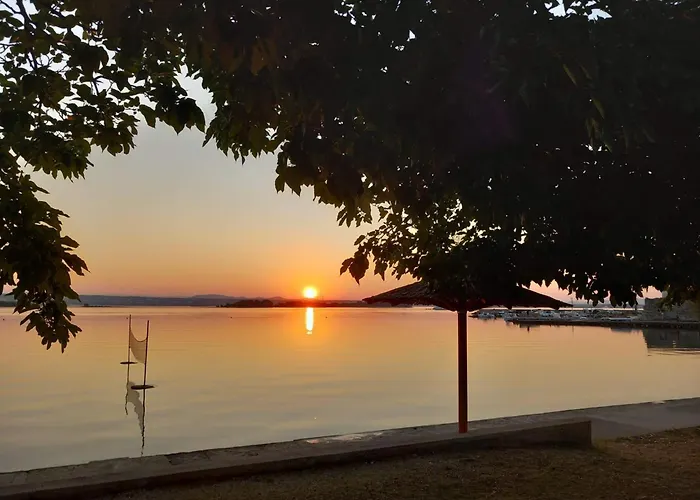 Maslina Kraj (Zadar)