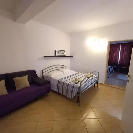 Maslina * Kraj (Zadar)