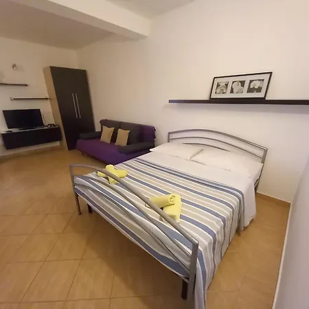 Maslina * Kraj (Zadar)