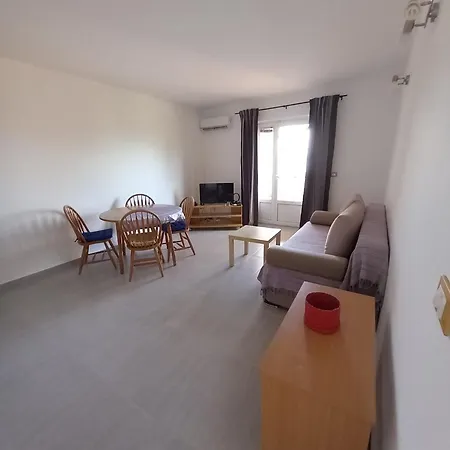 Maslina Kraj (Zadar)