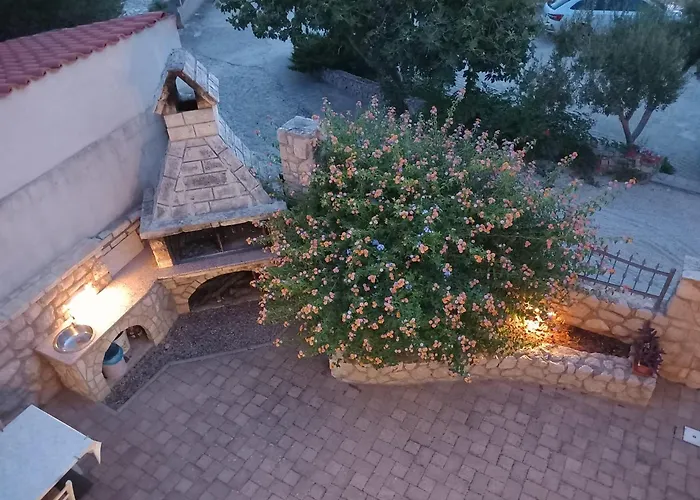 Maslina * Kraj (Zadar)