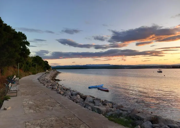 Maslina * Kraj (Zadar)