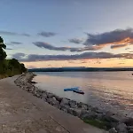 Maslina * Kraj (Zadar)