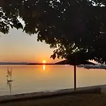 Maslina Kraj (Zadar)