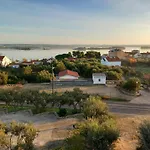 Maslina * Kraj (Zadar)
