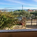 Maslina * Kraj (Zadar)