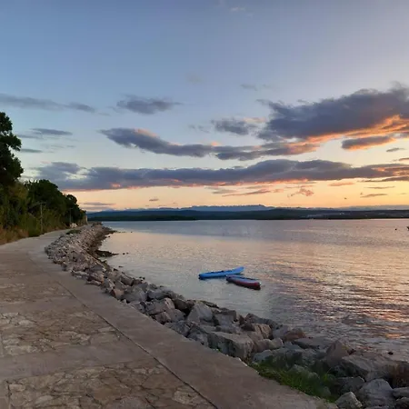Maslina * Kraj (Zadar)