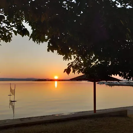 Maslina Kraj (Zadar)